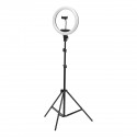 Lampa pierścieniowa Ring light 13' 36W led czarna + statyw